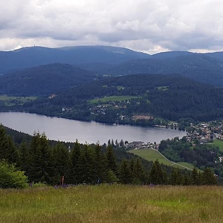 Friedolin Im Baerenhuesli Lejlighed Titisee-Neustadt Eksteriør billede